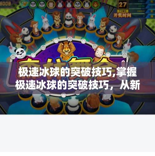 极速冰球的突破技巧,掌握极速冰球的突破技巧，从新手到高手的进阶之路