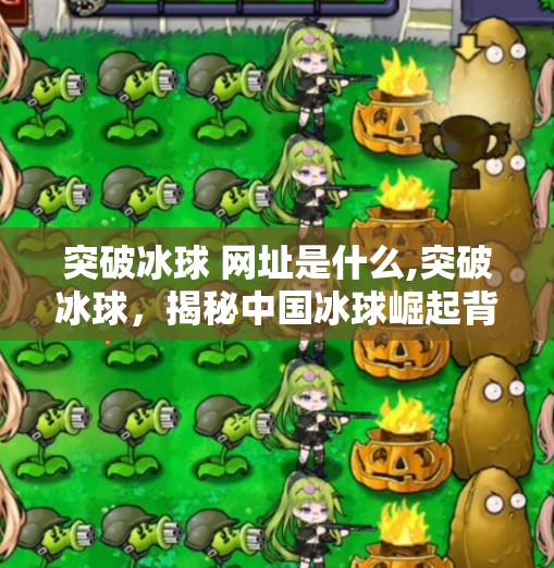 突破冰球 网址是什么,突破冰球，揭秘中国冰球崛起背后的秘密武器—你不知道的冰上奇迹网址！
